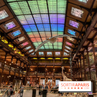 Grande Galerie de l'évolution- visuels 2024