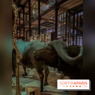 Grande Galerie de l'évolution- visuels 2024 - image00087