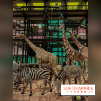 Grande Galerie de l'évolution- visuels 2024 - image00072