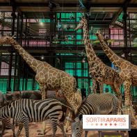 Grande Galerie de l'évolution- visuels 2024 - image00073