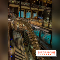 Grande Galerie de l'évolution- visuels 2024