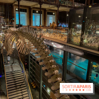 Grande Galerie de l'évolution- visuels 2024 - image00076