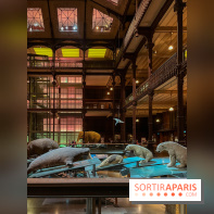 Grande Galerie de l'évolution- visuels 2024 - image00077