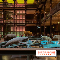 Grande Galerie de l'évolution- visuels 2024 - image00078