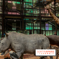 Grande Galerie de l'évolution- visuels 2024 - image00063