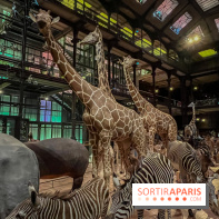 Grande Galerie de l'évolution- visuels 2024