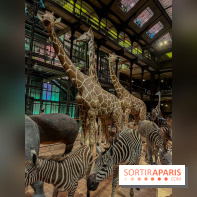 Grande Galerie de l'évolution- visuels 2024