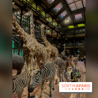 Grande Galerie de l'évolution- visuels 2024
