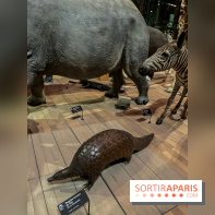 Grande Galerie de l'évolution- visuels 2024 - image00070