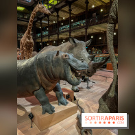 Grande Galerie de l'évolution- visuels 2024