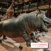 Grande Galerie de l'évolution- visuels 2024