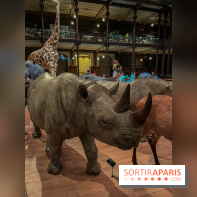 Grande Galerie de l'évolution- visuels 2024 - image00044