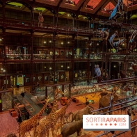 Grande Galerie de l'évolution- visuels 2024 - image00034