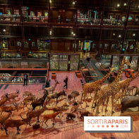 Grande Galerie de l'évolution- visuels 2024 - image00035
