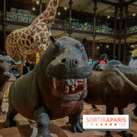 Grande Galerie de l'évolution- visuels 2024 - image00043