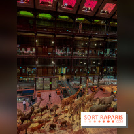 Grande Galerie de l'évolution- visuels 2024