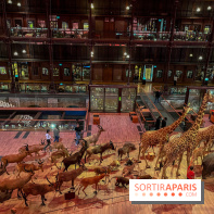 Grande Galerie de l'évolution- visuels 2024