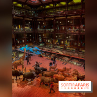 Grande Galerie de l'évolution- visuels 2024 - image00030