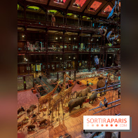 Grande Galerie de l'évolution- visuels 2024