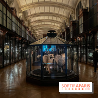 Grande Galerie de l'évolution- visuels 2024 - image00014