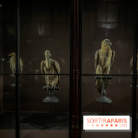 Grande Galerie de l'évolution- visuels 2024