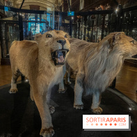 Grande Galerie de l'évolution- visuels 2024 - image00021