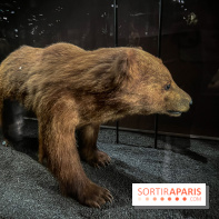 Grande Galerie de l'évolution- visuels 2024 - image00004