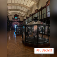 Grande Galerie de l'évolution- visuels 2024