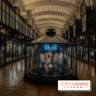 Grande Galerie de l'évolution- visuels 2024
