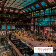 Grande Galerie de l'évolution- visuels 2024 - image00002