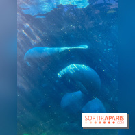 Zoo de Vincennes, Parc zoologique 2024 - nos photos - image00040