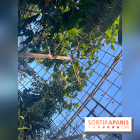 Zoo de Vincennes, Parc zoologique 2024 - nos photos - image00036