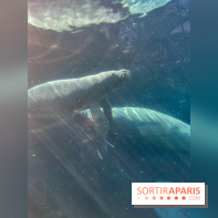 Zoo de Vincennes, Parc zoologique 2024 - nos photos - image00037