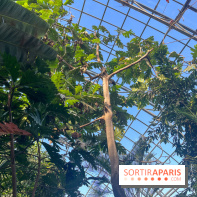 Zoo de Vincennes, Parc zoologique 2024 - serre tropicale