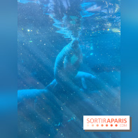 Zoo de Vincennes, Parc zoologique 2024 - nos photos - image00025