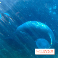 Zoo de Vincennes, Parc zoologique 2024 - nos photos - image00027