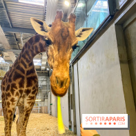 Zoo de Vincennes, Parc zoologique 2024 - nos photos - image00019