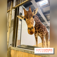 Zoo de Vincennes, Parc zoologique 2024 - nos photos - image00002