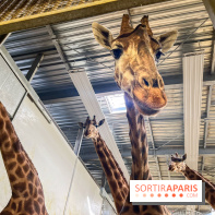 Zoo de Vincennes, Parc zoologique 2024 - nos photos - image00003