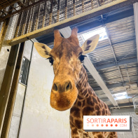 Zoo de Vincennes, Parc zoologique 2024 - nos photos - image00001