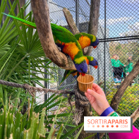 Visuels enfants, attractions, parc, Jardin d'Acclimatation, animaux, zoo