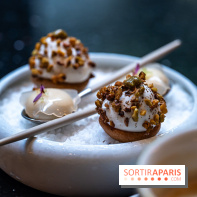 SPA et déjeuner gastronomique au Burgundy, la Parenthèse étoilée du Baudelaire  -  A7C8500