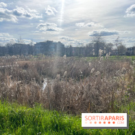 Parc des Impressionnistes à Clichy - nos photos - image00006