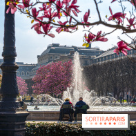 Les magnolias du Jardin du Palais Royal  - printemps - visuel Paris - fontaine - chaleur