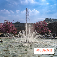 Les magnolias du Jardin du Palais Royal  - printemps - visuel Paris - fontaine - chaleur - beau temps
