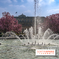 Les magnolias du Jardin du Palais Royal  - printemps - visuel Paris - fontaine - chaleur - beau temps