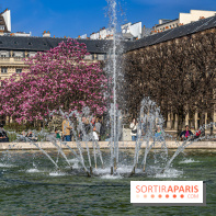 Les magnolias du Jardin du Palais Royal  - printemps - visuel Paris - fontaine - chaleur - beau temps