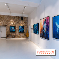 Exposition street-art Sax à Paris : A travers l'océan
