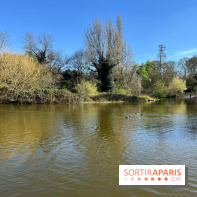 Lac de Saint-Mandé - nos photos - WhatsApp 03 22 à 16.21.39 4b32697e
