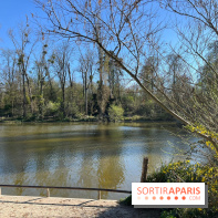 Lac de Saint-Mandé - nos photos - WhatsApp Image 2024 03 22 à 16.12.09 927d444d